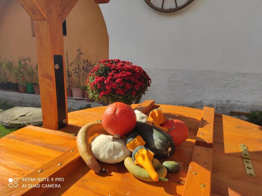 Apartman Pod Sribrnou Horou Lhenice Εξωτερικό φωτογραφία