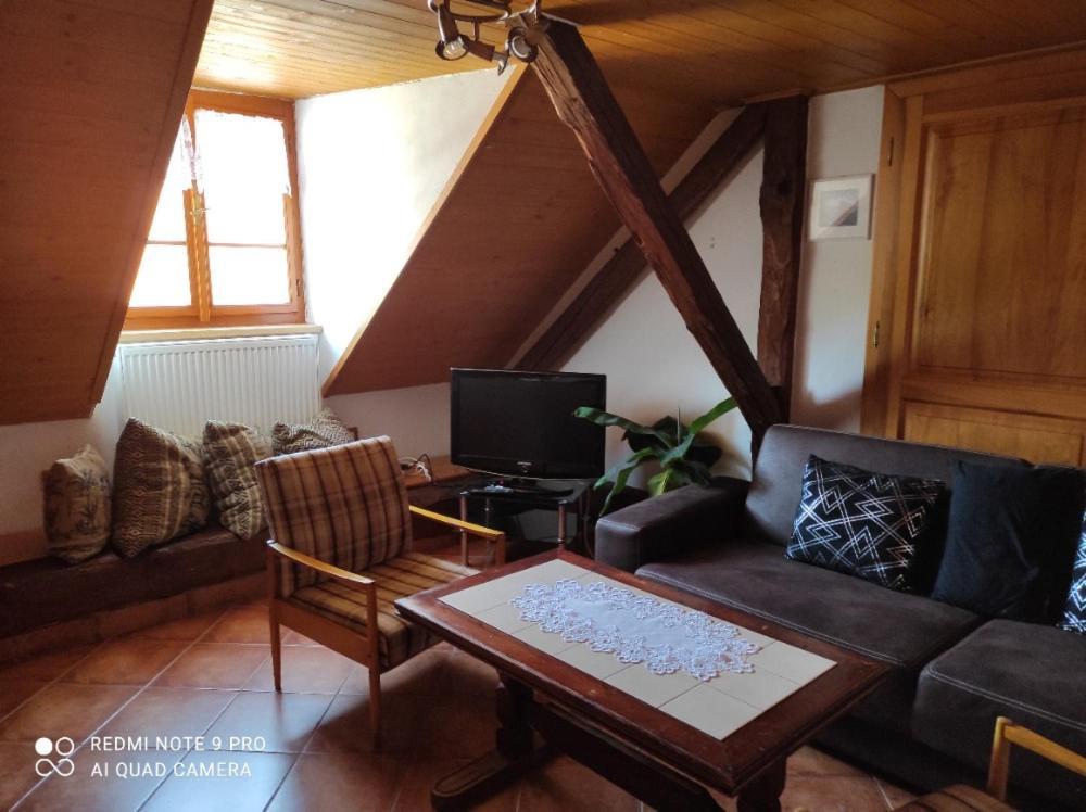 Apartman Pod Sribrnou Horou Lhenice Εξωτερικό φωτογραφία