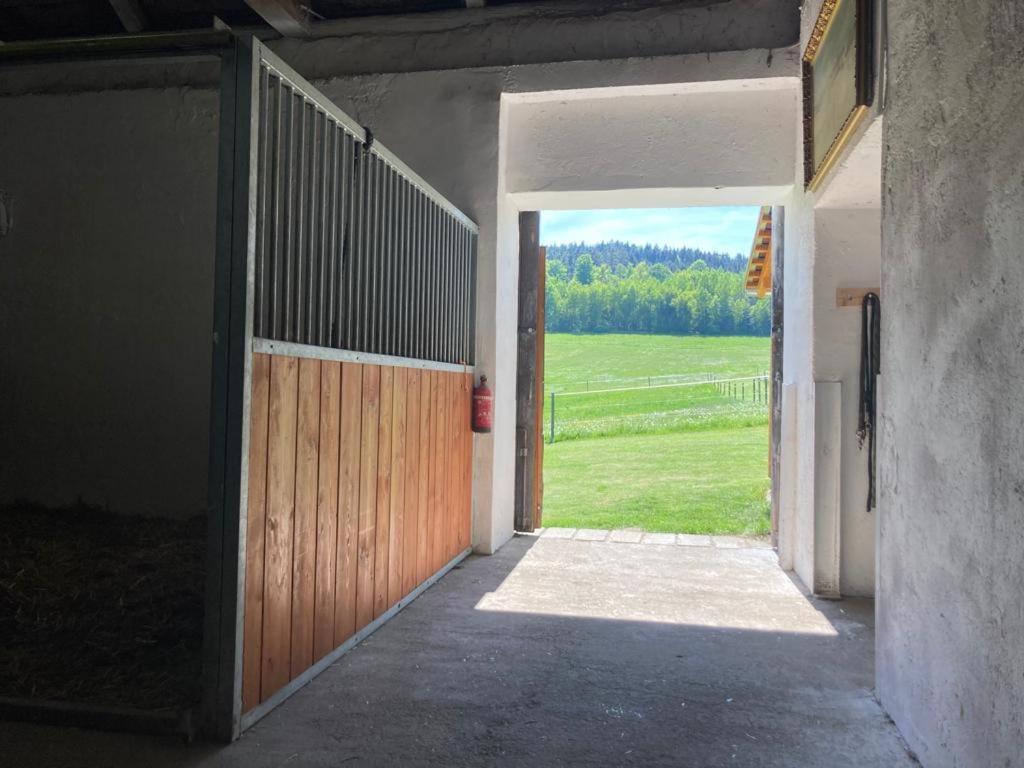 Apartman Pod Sribrnou Horou Lhenice Εξωτερικό φωτογραφία